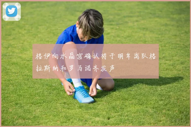 格伊向水晶宫确认将于明年离队格拉斯纳和罗马诺齐发声