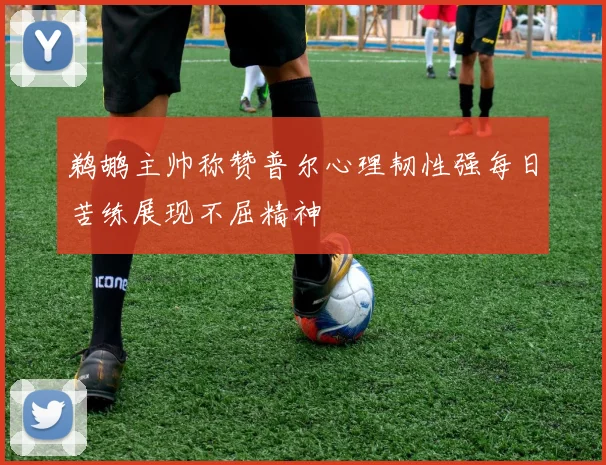 鹈鹕主帅称赞普尔心理韧性强每日苦练展现不屈精神