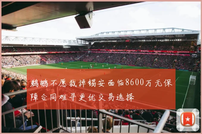鹈鹕不愿裁掉锡安面临8600万无保障合同难寻更优交易选择
