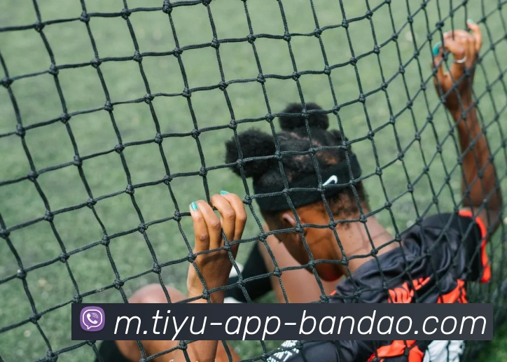 半岛体育发展历程